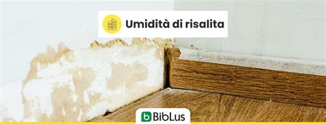 Umidità di risalita: cos’è e come risolvere il problema